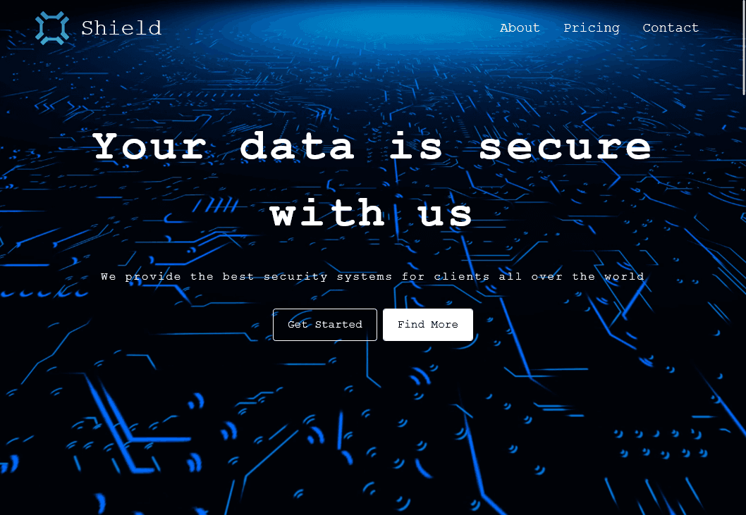 Data Security website